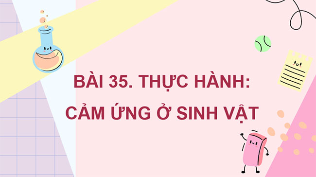 PowerPoint KHTN 7 Bài 35