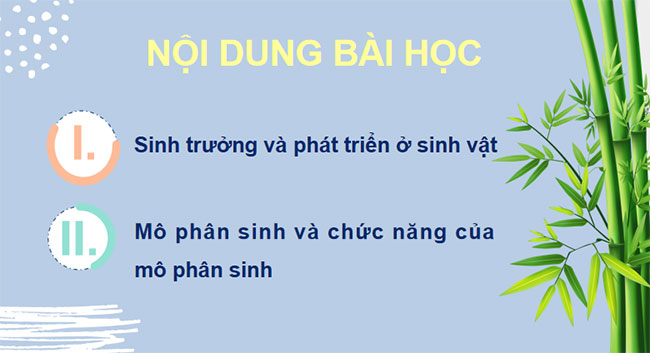 PowerPoint KHTN 7 Bài 36