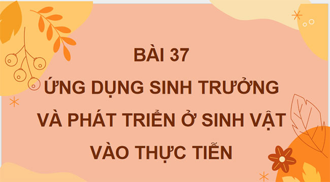 PowerPoint KHTN 7 Bài 37