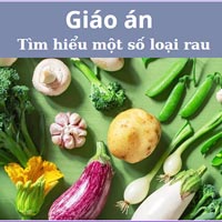 Giáo án: Tìm hiểu về một số loại rau