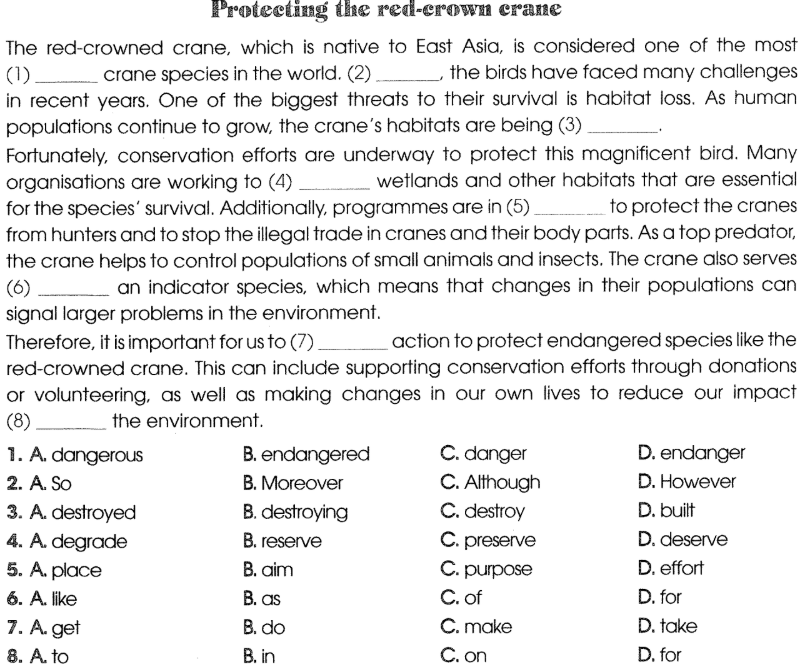 Sách bài tập Tiếng Anh 12 Global Success Unit 8 Reading 