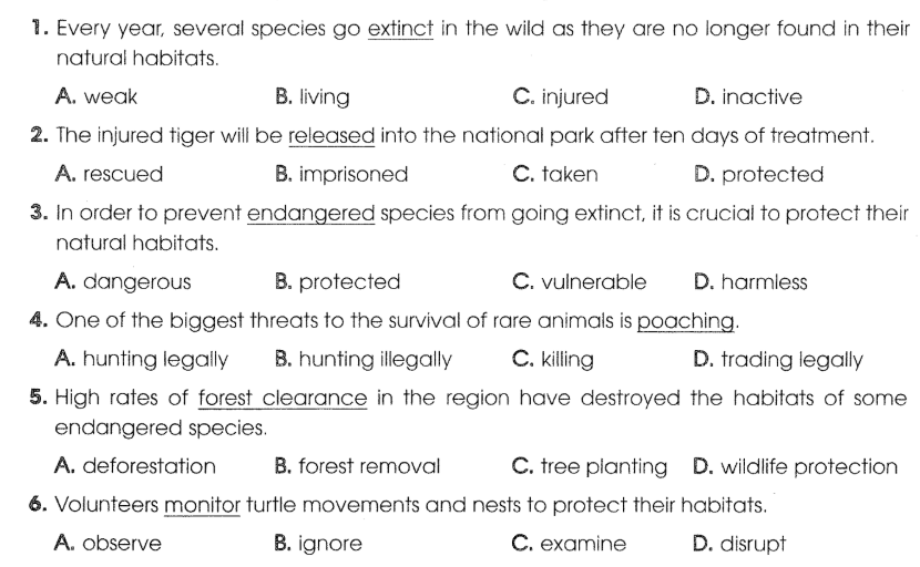 Sách bài tập Tiếng Anh 12 Global Success Unit 8 Vocabulary