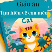 Giáo án: Tìm hiểu con mèo