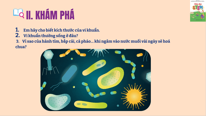 Hũ hành tím chua ngọt 