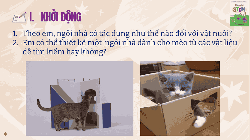 PowerPoint STEM Ngôi nhà dành cho mèo