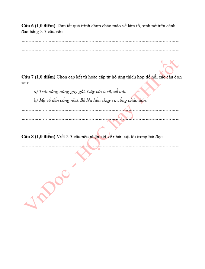 Đề thi thử vào lớp 6 môn Tiếng Việt Chương trình mới