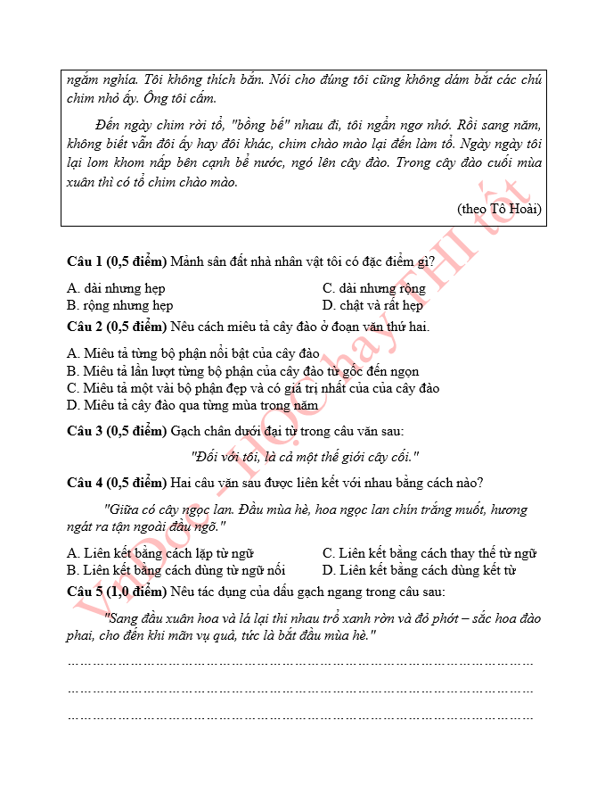 Đề thi thử vào lớp 6 môn Tiếng Việt Chương trình mới