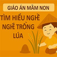 Giáo án: Tìm hiểu nghề trồng lúa