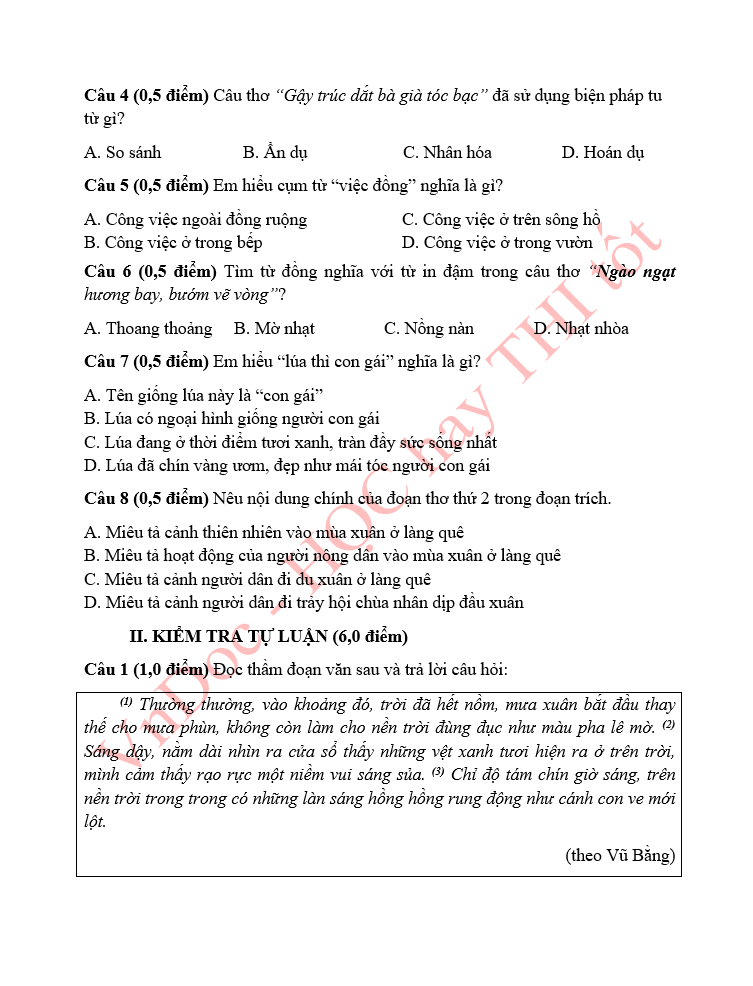 Đề thi thử vào lớp 6 môn Tiếng Việt