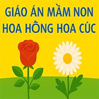 Giáo án: Nhận biết tập nói 'Hoa hồng - Hoa cúc'