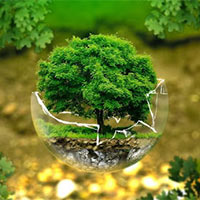 Giáo án Khoa học 5 Bài 20: Tác động của con người đến môi trường