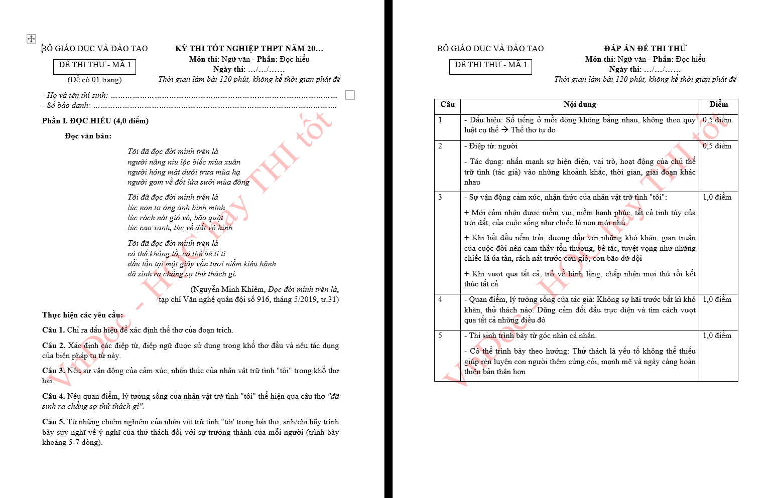 Đọc hiểu Đọc đời mình trên lá‌