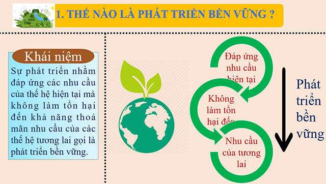 PowerPoint Địa lí 6 Bài 29