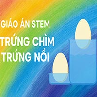 Giáo án steam: Trứng nổi trứng chìm