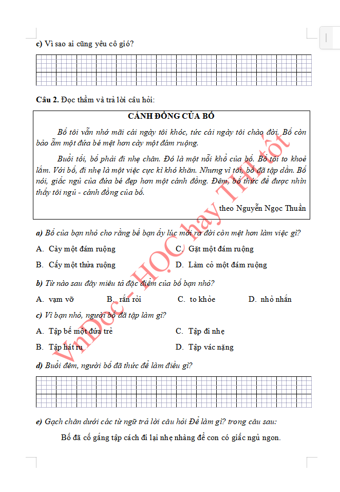 Đề ôn tập hè lớp 2 lên lớp 3 môn Tiếng Việt