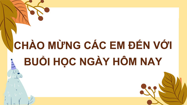 Nuôi dưỡng và chăm sóc vật nuôi