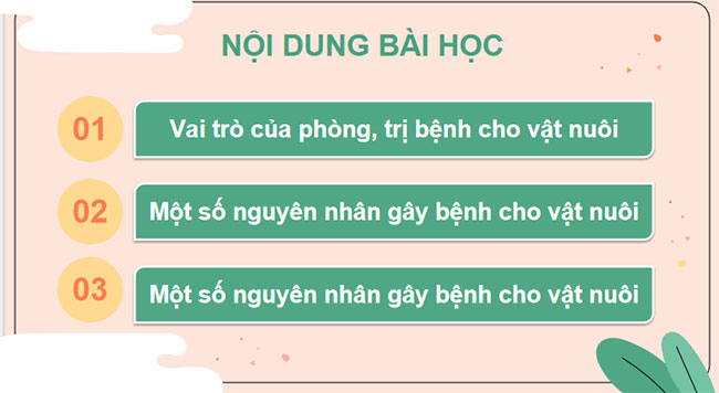 Phòng và trị bệnh cho vật nuôi