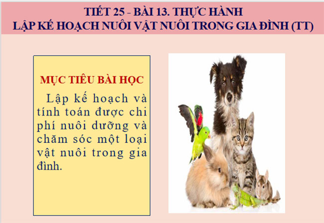 PowerPoint Công nghệ 7 Bài 13