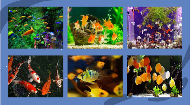 Giáo án PowerPoint Công nghệ 7 Bài 16