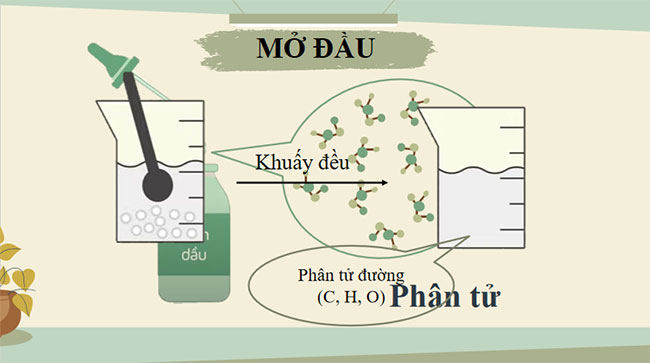 PowerPoint KHTN 7 Bài 4 Cánh diều
