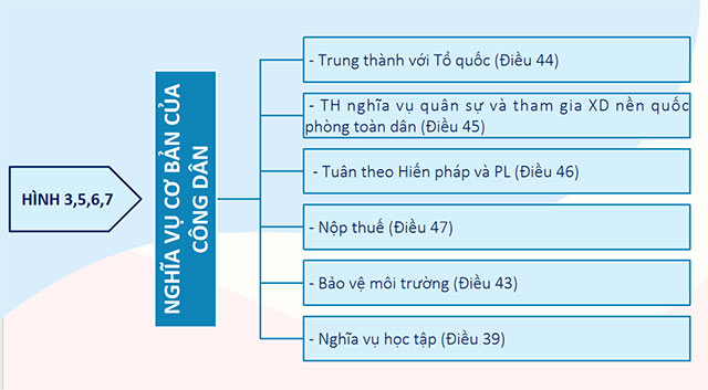 PowerPoint Quyền và nghĩa vụ cơ bản của công dân