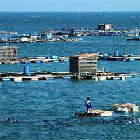 Giáo án Công nghệ 7 Bài 14: Giới thiệu về thủy sản