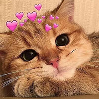 Giáo án Công nghệ 7 Bài 13: Thực hành Lập kế hoạch nuôi vật nuôi trong gia đình