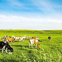 Giáo án Công nghệ 7: Ôn tập chương 3