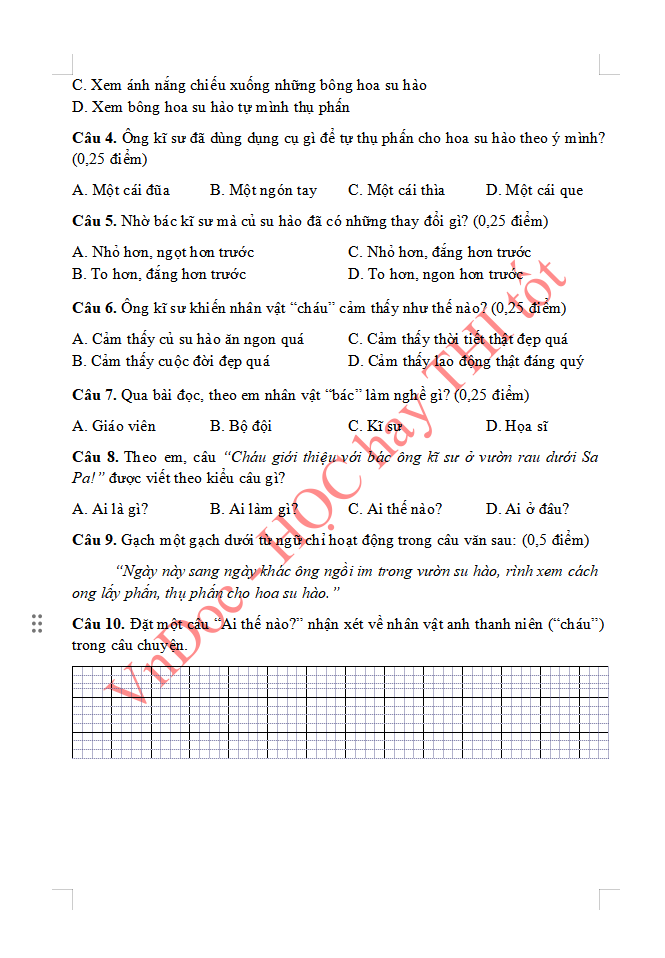 Đề ôn tập hè lớp 2 lên lớp 3 môn Tiếng Việt