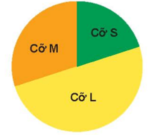 Toán lớp 5 Kết nối tri thức Bài 64