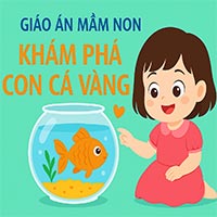 Giáo án: Khám phá con cá vàng
