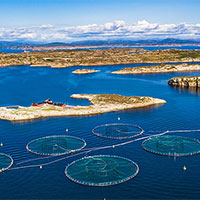 Giáo án Công nghệ 12 Bài 19: Quy trình nuôi thuỷ sản theo tiêu chuẩn VietGAP