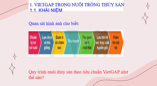 PowerPoint Công nghệ 12 Bài 19