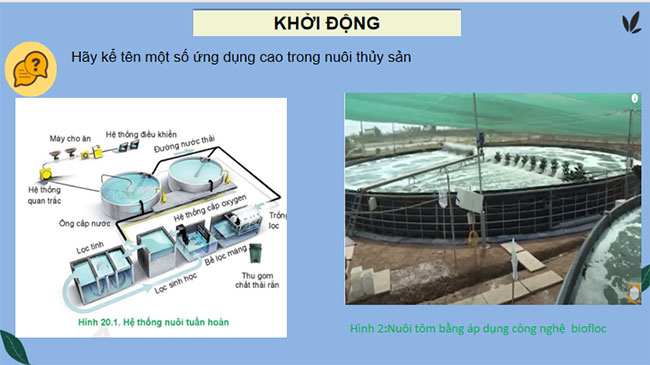 PowerPoint Công nghệ 12 Bài 20