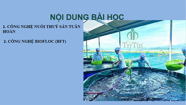 PowerPoint Công nghệ 12 Bài 20