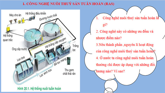 PowerPoint Công nghệ 12 Bài 20