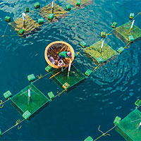 Giáo án Công nghệ 12 Bài 22: Phòng trị một số bệnh thuỷ sản phổ biến