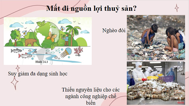 PowerPoint Công nghệ 12 Bài 24