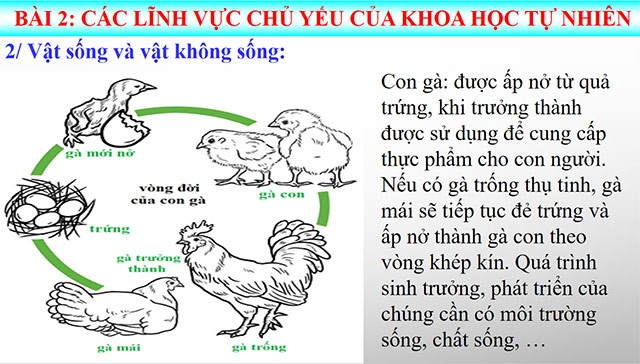 PowerPoint Khoa học tự nhiên 6 Các lĩnh vực chủ yếu của khoa học tự nhiên