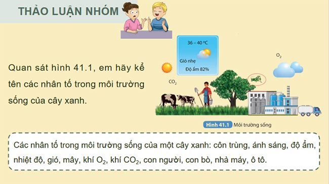Môi trường và các nhân tố sinh thái