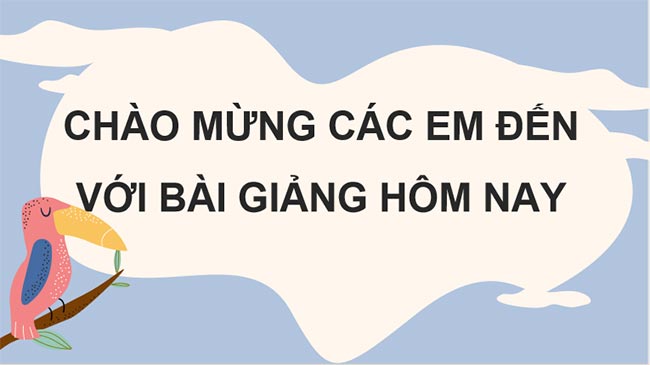 KHTN 8 Bài 42: Quần thể sinh vật