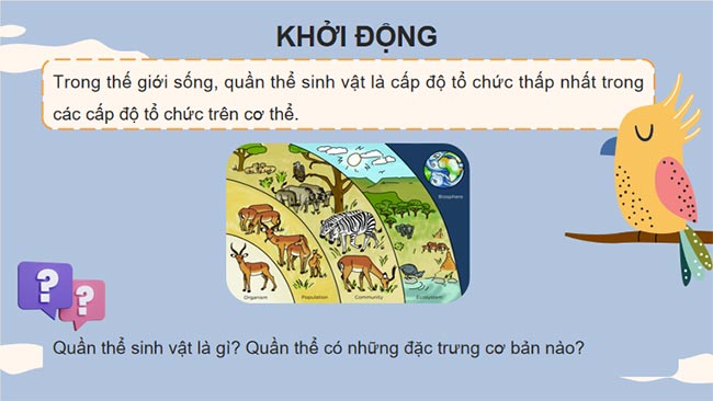 KHTN 8 Bài 42: Quần thể sinh vật