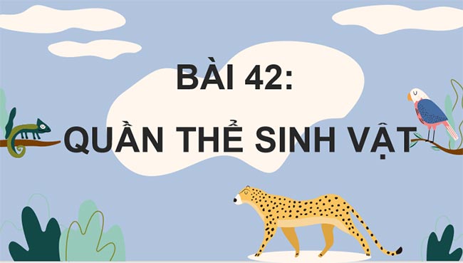 KHTN 8 Bài 42: Quần thể sinh vật
