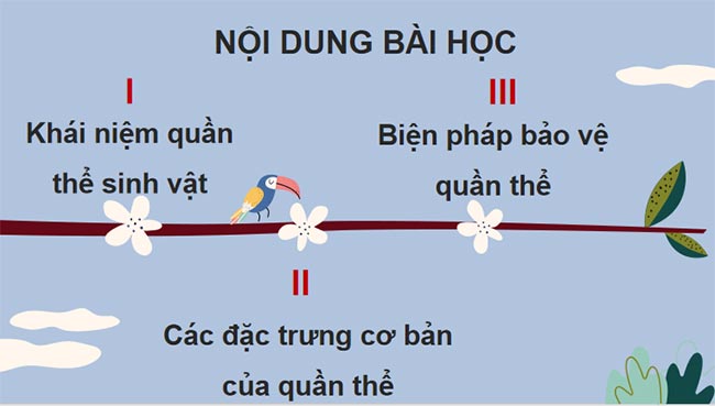 KHTN 8 Bài 42: Quần thể sinh vật