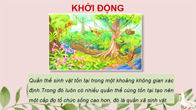 KHTN 8 Bài 43 Quần xã sinh vật