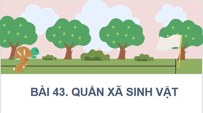 KHTN 8 Bài 43 Quần xã sinh vật