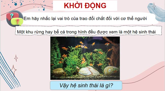 PowerPoint KHTN 8 Bài 44 Hệ sinh thái 