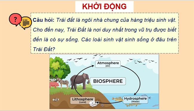 Giáo án Khoa học tự nhiên 8 Bài 45 Sinh quyển 