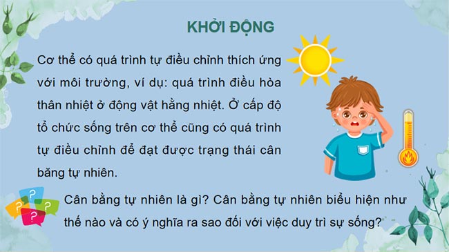 Cân bằng tự nhiên