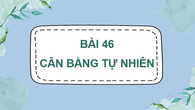 Cân bằng tự nhiên